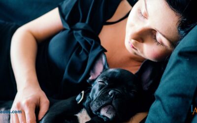 Ruido en viviendas por mal aislamiento acústico