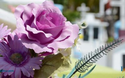 Información sobre el proceso y trámites de herencias en España