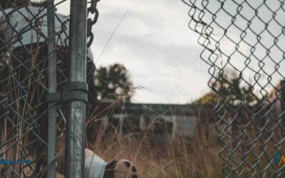 ¿Puedo reclamar un vallado perimetral defectuoso?