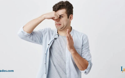 ¿Dónde reclamar daños por malos olores en viviendas?